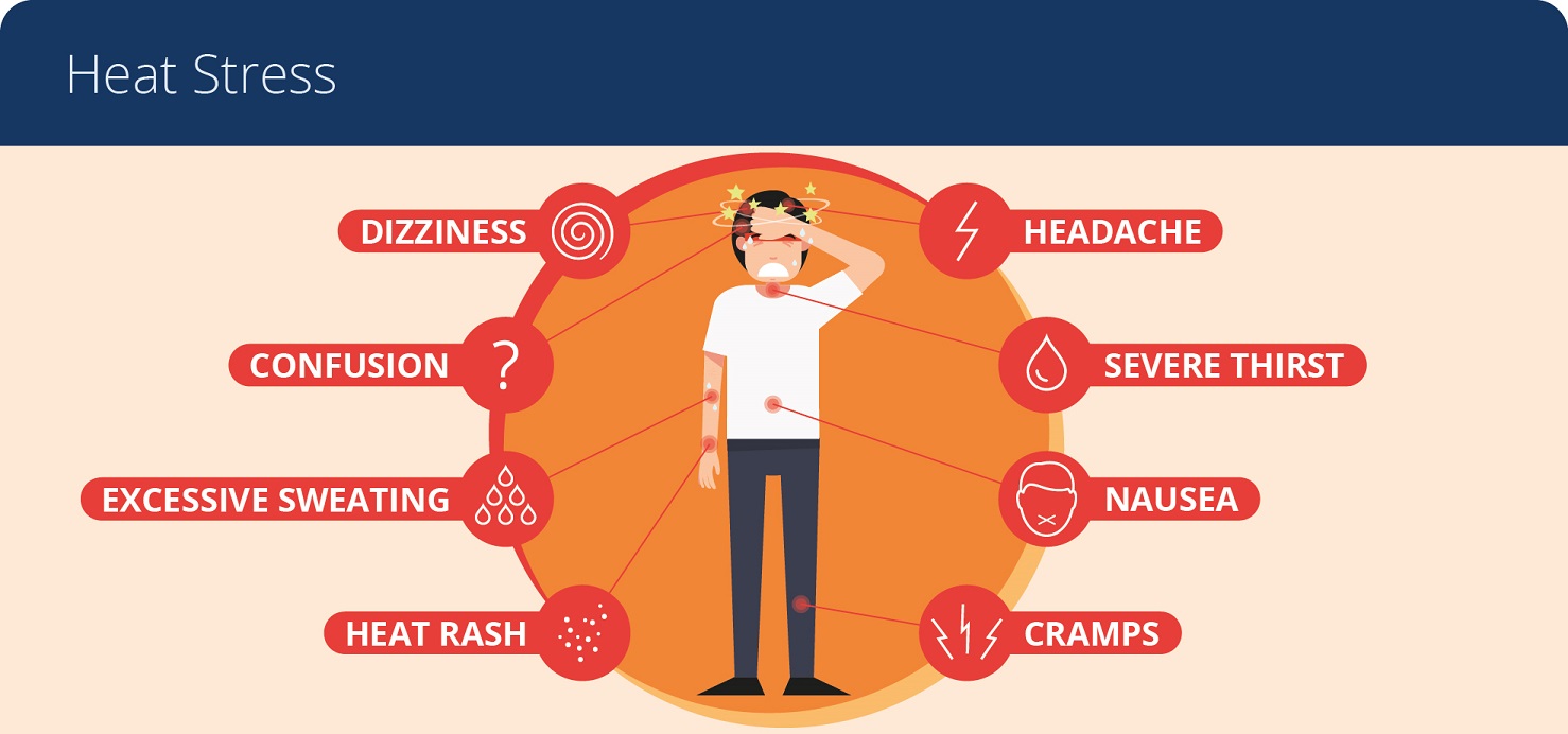heat stress symptoms in the workplace